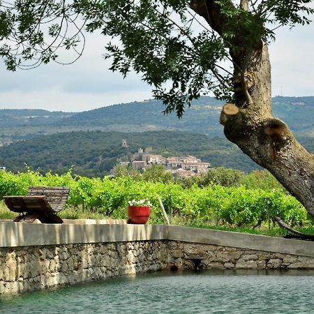 Chateau La Villatade Salleles-Cabardes Esterno foto