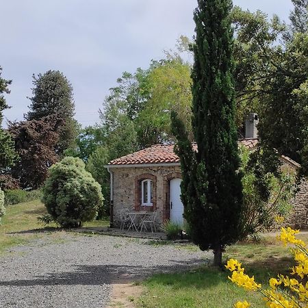 Chateau La Villatade Salleles-Cabardes Esterno foto