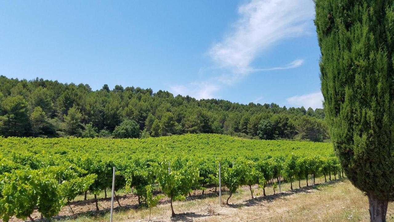 Chateau La Villatade Salleles-Cabardes Esterno foto