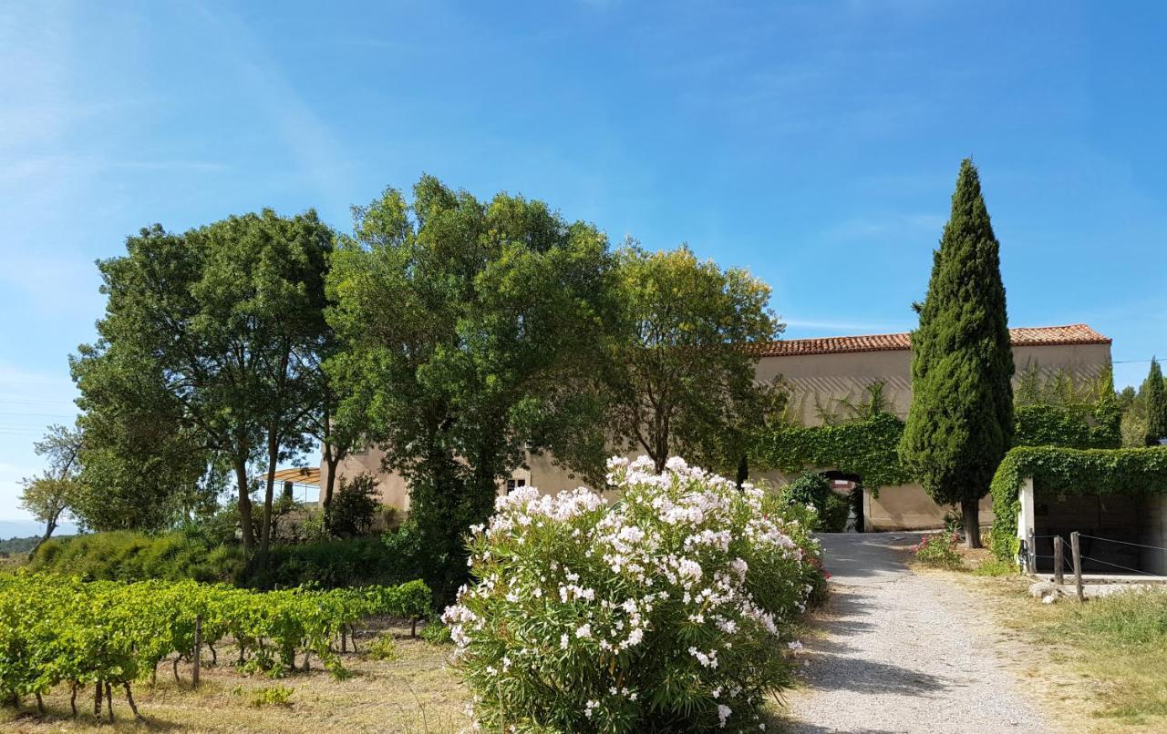 Chateau La Villatade Salleles-Cabardes Esterno foto
